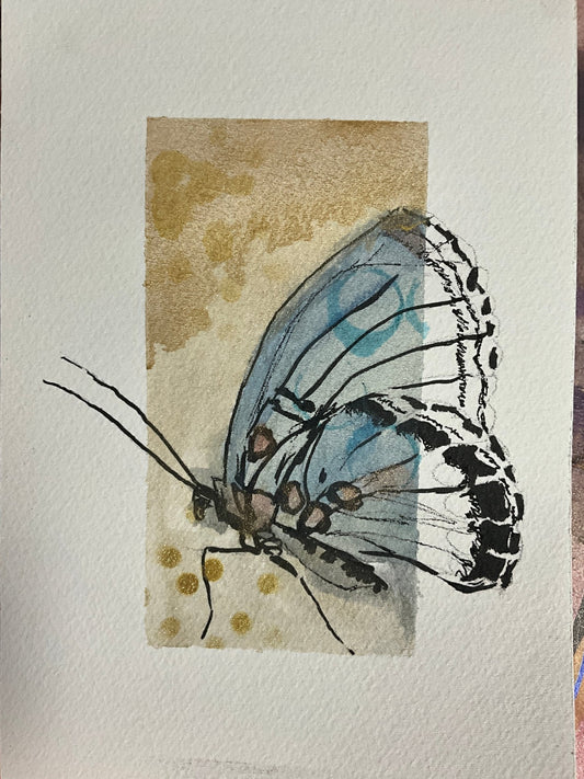 Creative Reflections on Light and Shadow - Sarah Andreas Art