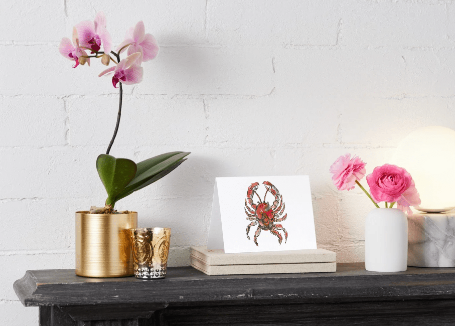 Coastal Crimson Crab Art Note Card Set | Sarah Andreas Art | Mixed Media Oil Painting