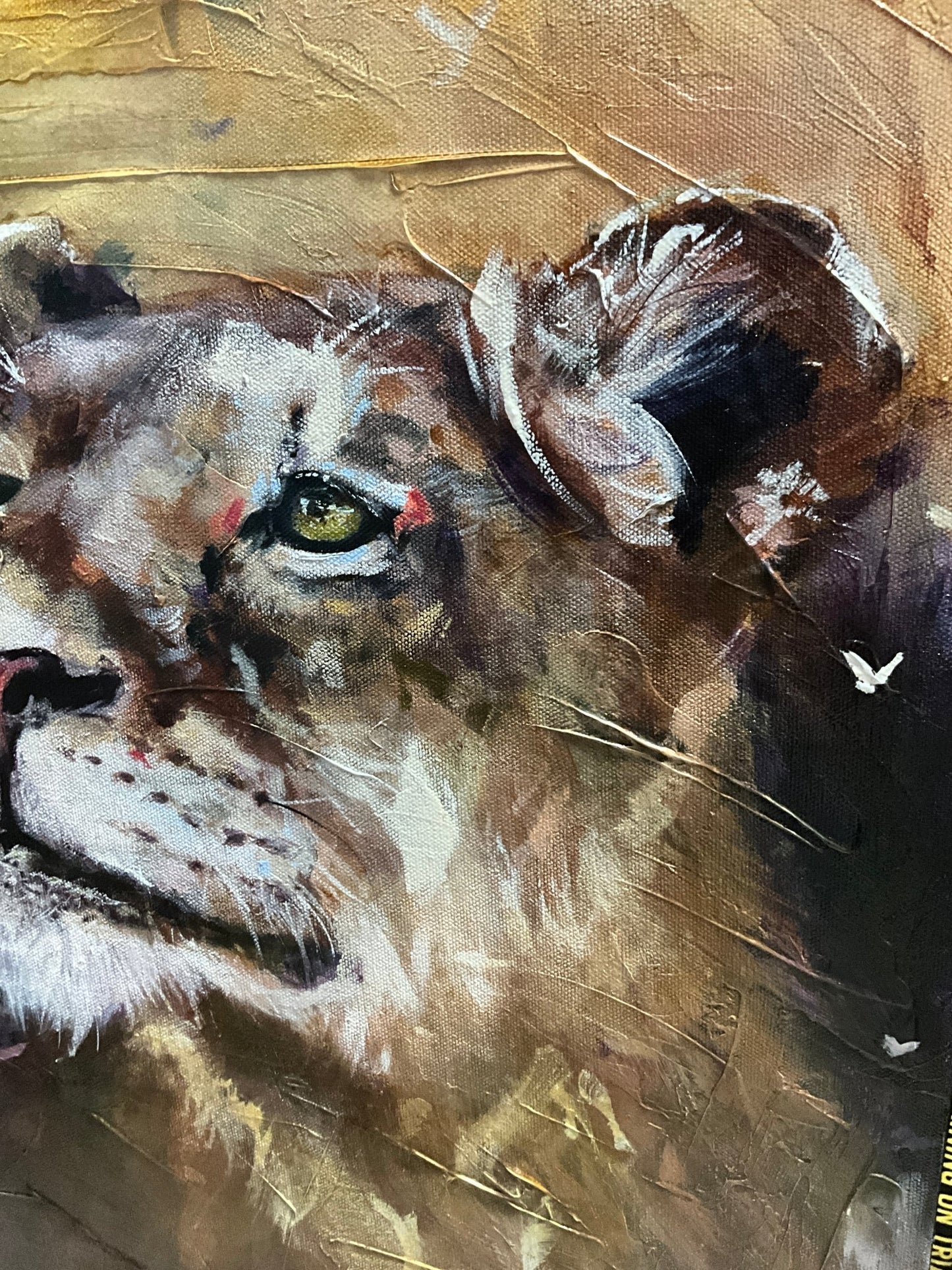 Resolute Majesty - Fine Art by Sarah Andreas