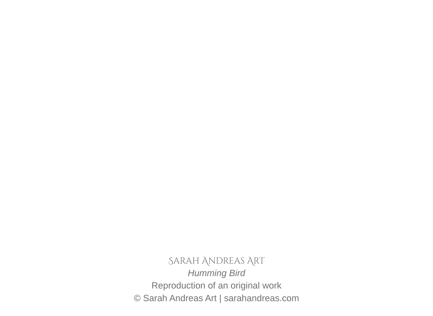 Hummingbird Art Note Card Set | Sarah Andreas Art | Mixed Media Oil Painting