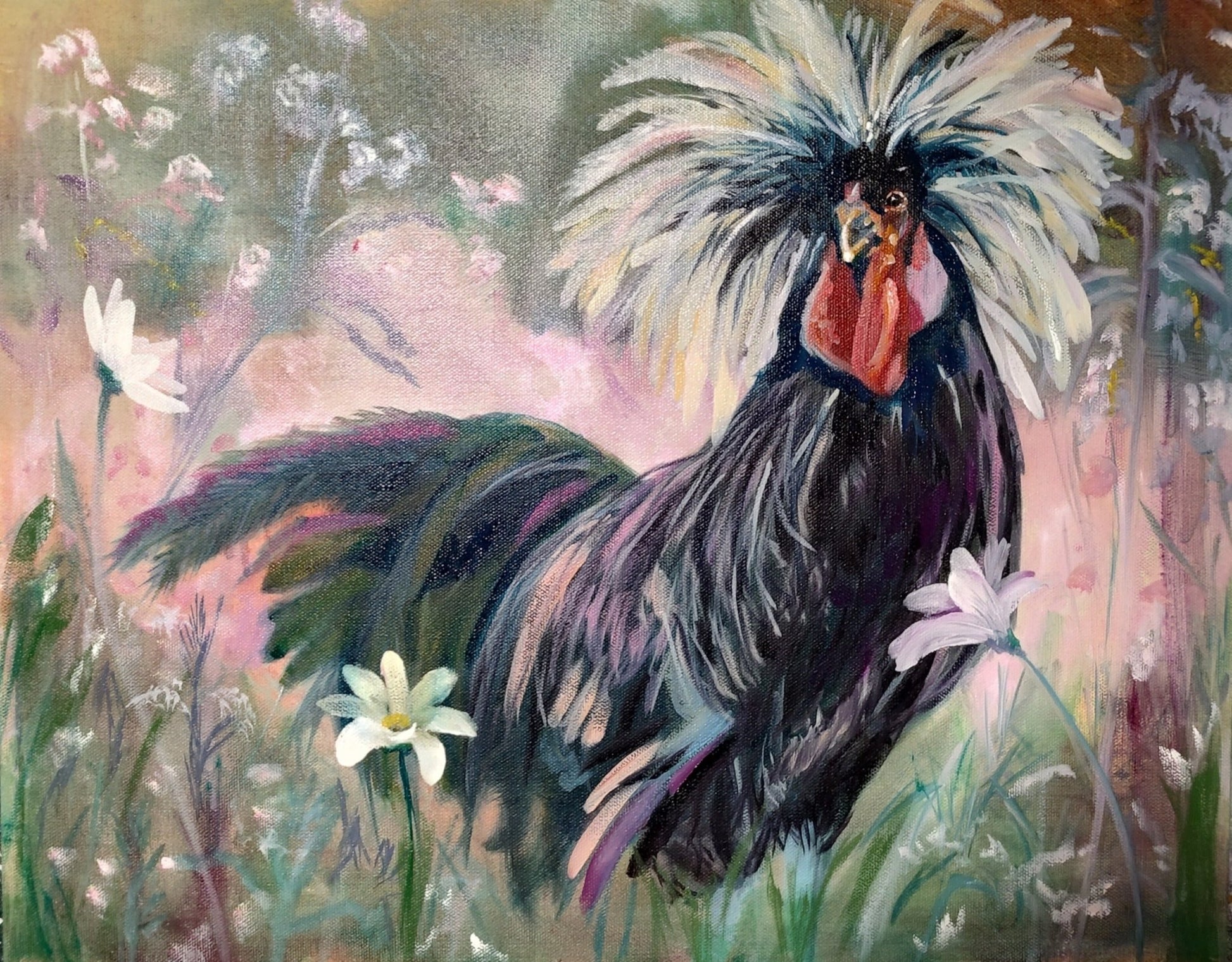 Rooster and Daisies - Fine Art by Sarah Andreas